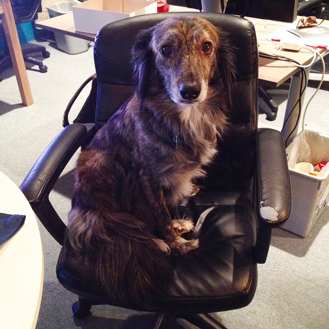 1382265_10100289424088731_5232421406991449652_n